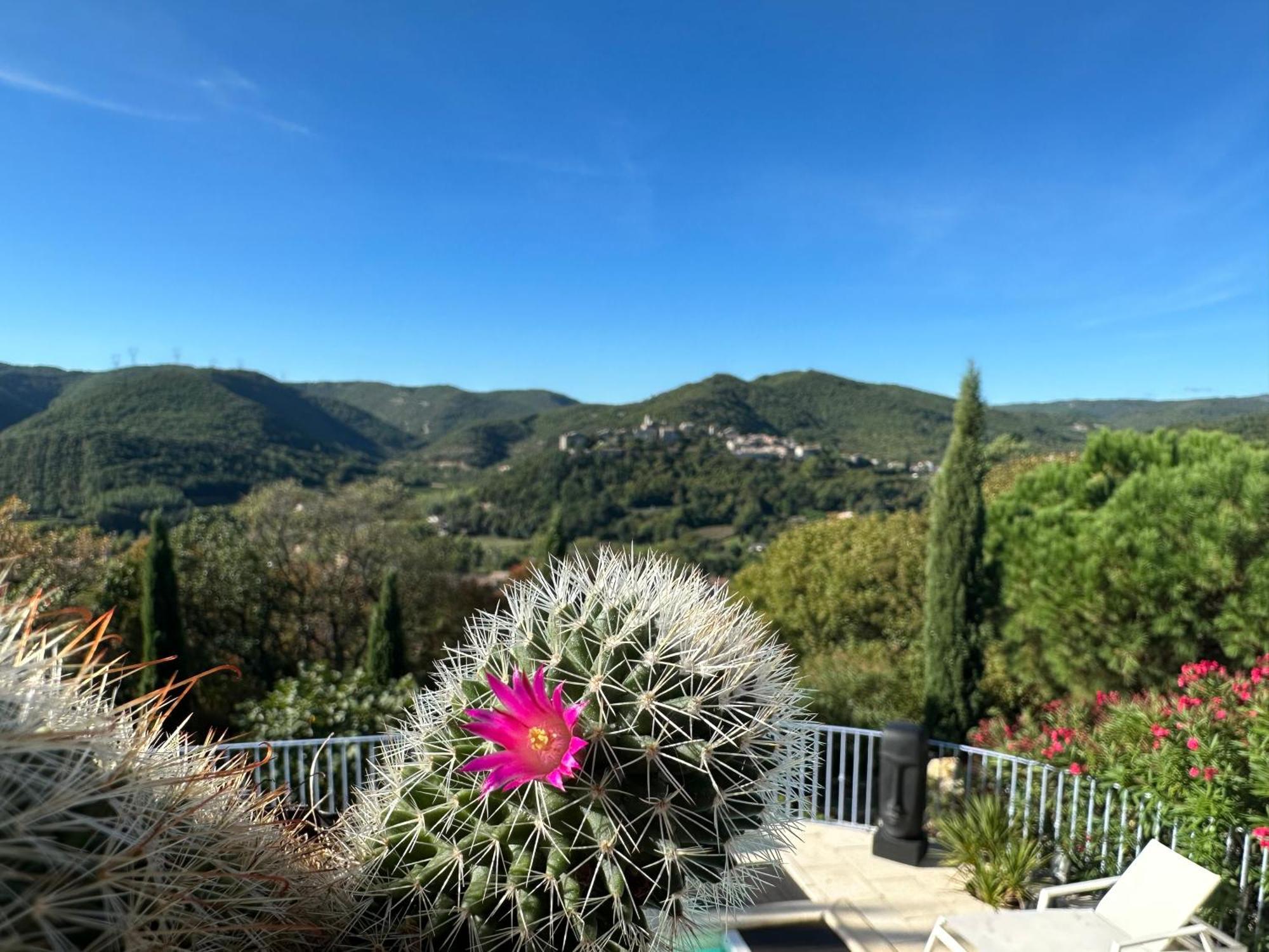 Bastide Saint-Thomé Dış mekan fotoğraf